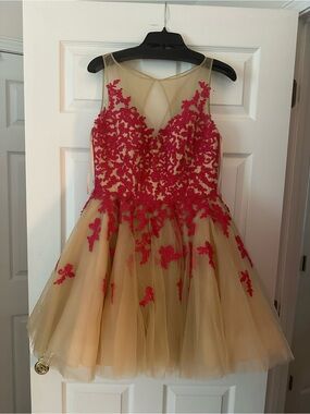 La Femme Size 8 USED Formal Tulle Dress with Red Floral Appliqué